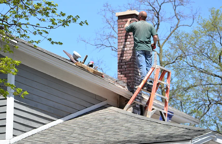 Chimney & Fireplace Inspections Services in Avondale, AZ